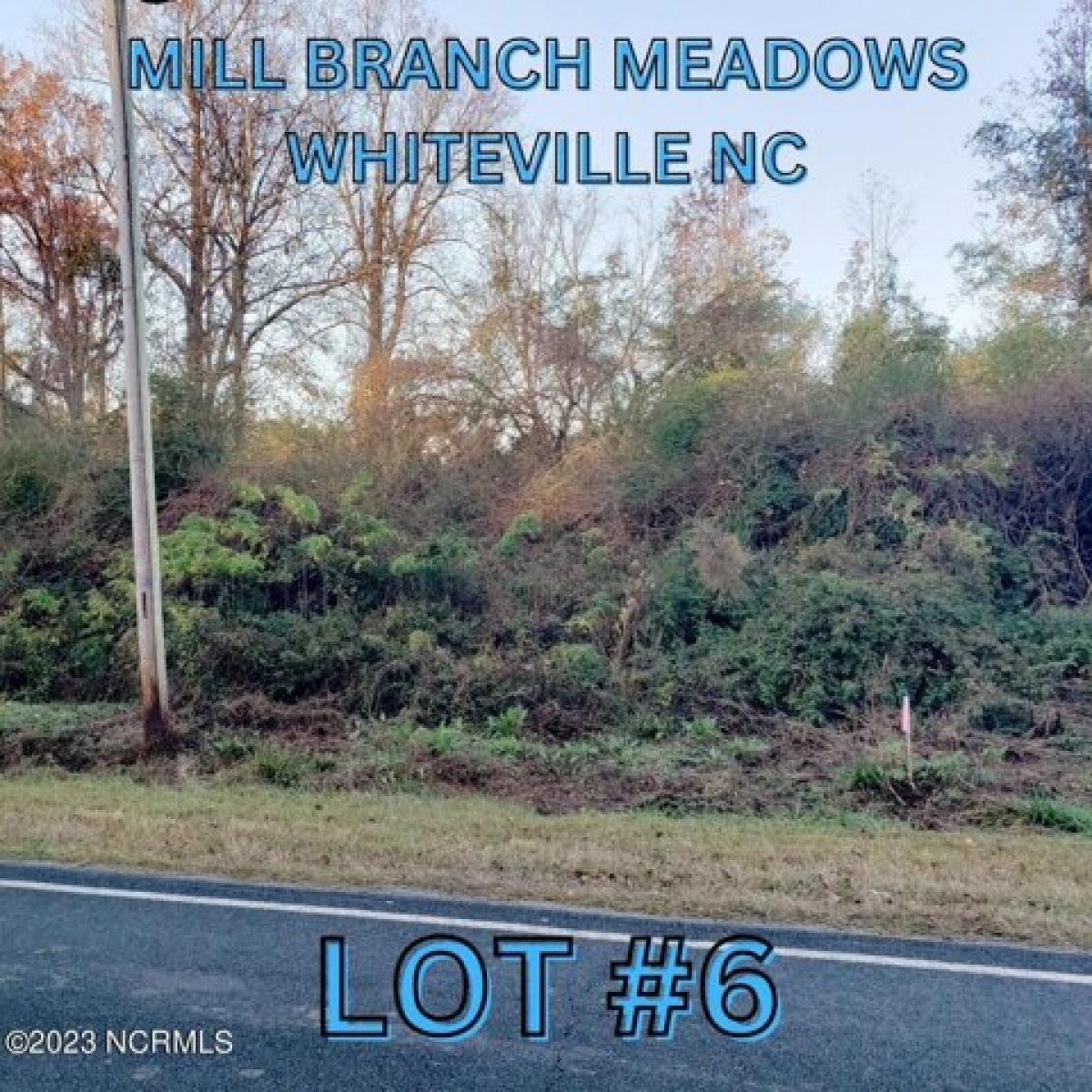 Picture of Residential Land For Sale in Whiteville, North Carolina, United States