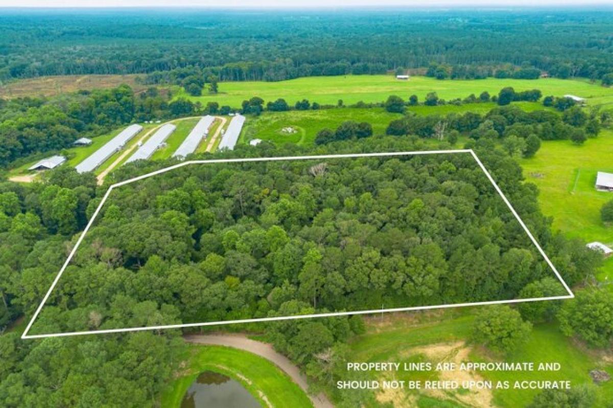 Picture of Residential Land For Sale in Seminary, Mississippi, United States