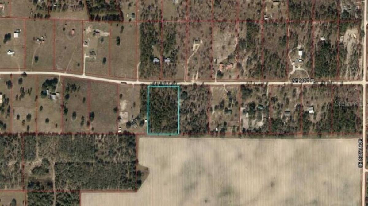 Picture of Residential Land For Sale in Morriston, Florida, United States