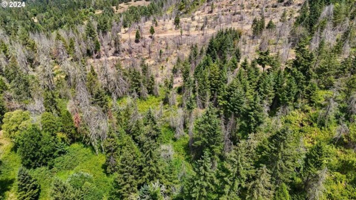 Picture of Residential Land For Sale in Glide, Oregon, United States