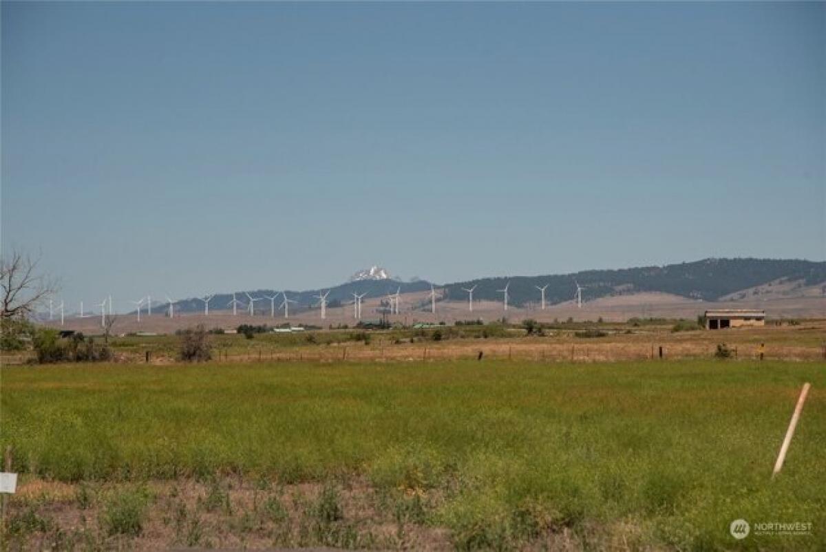 Picture of Residential Land For Sale in Ellensburg, Washington, United States