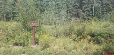 Residential Land For Sale in Creede, Colorado