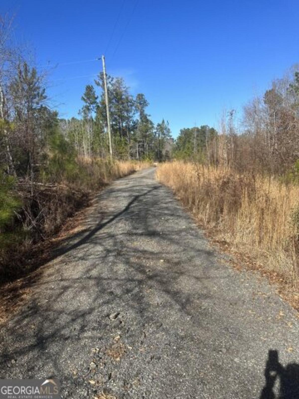 Picture of Residential Land For Sale in Greenville, Georgia, United States