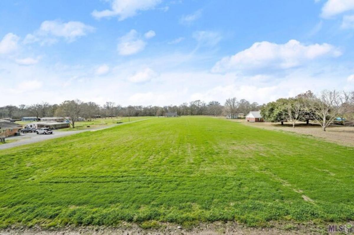 Picture of Residential Land For Sale in Lakeland, Louisiana, United States