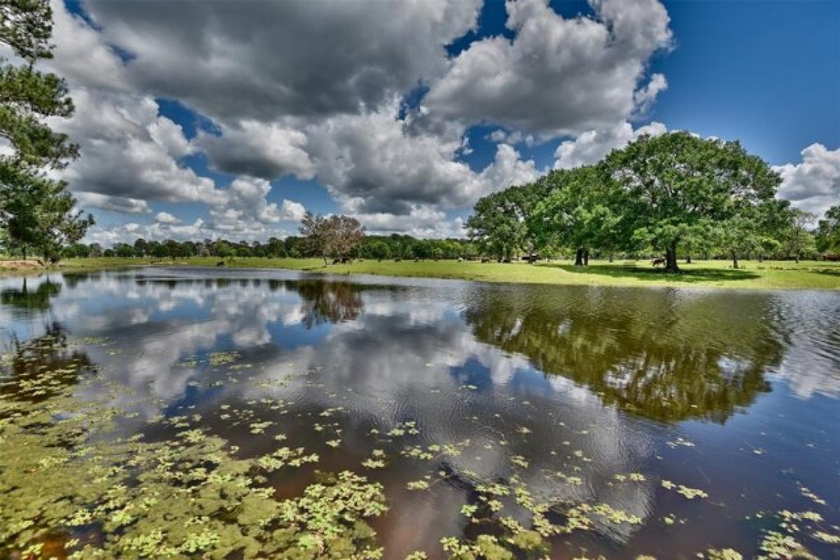 Picture of Residential Land For Sale in Waller, Texas, United States