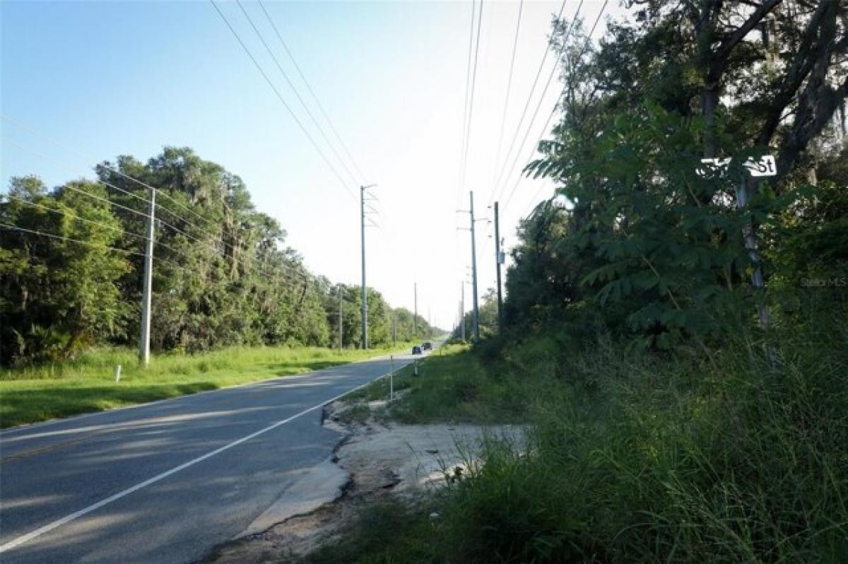 Picture of Residential Land For Sale in Leesburg, Florida, United States