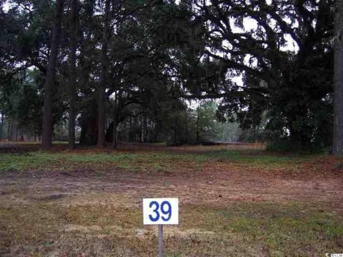 Picture of Residential Land For Sale in Georgetown, South Carolina, United States