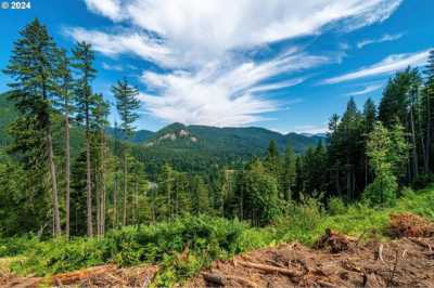 Residential Land For Sale in Carson, Washington