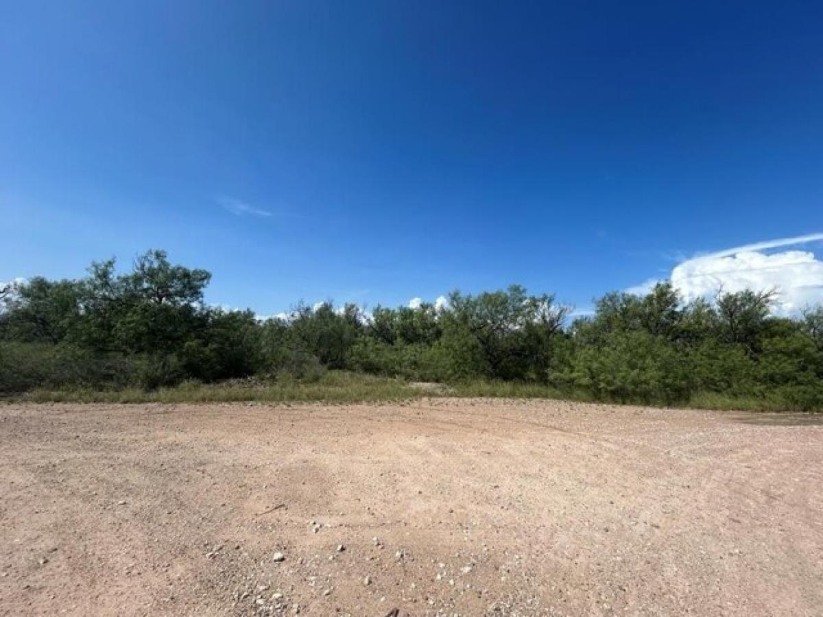 Picture of Residential Land For Sale in Eagle Pass, Texas, United States