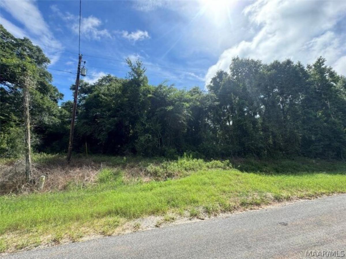 Picture of Residential Land For Sale in Elba, Alabama, United States