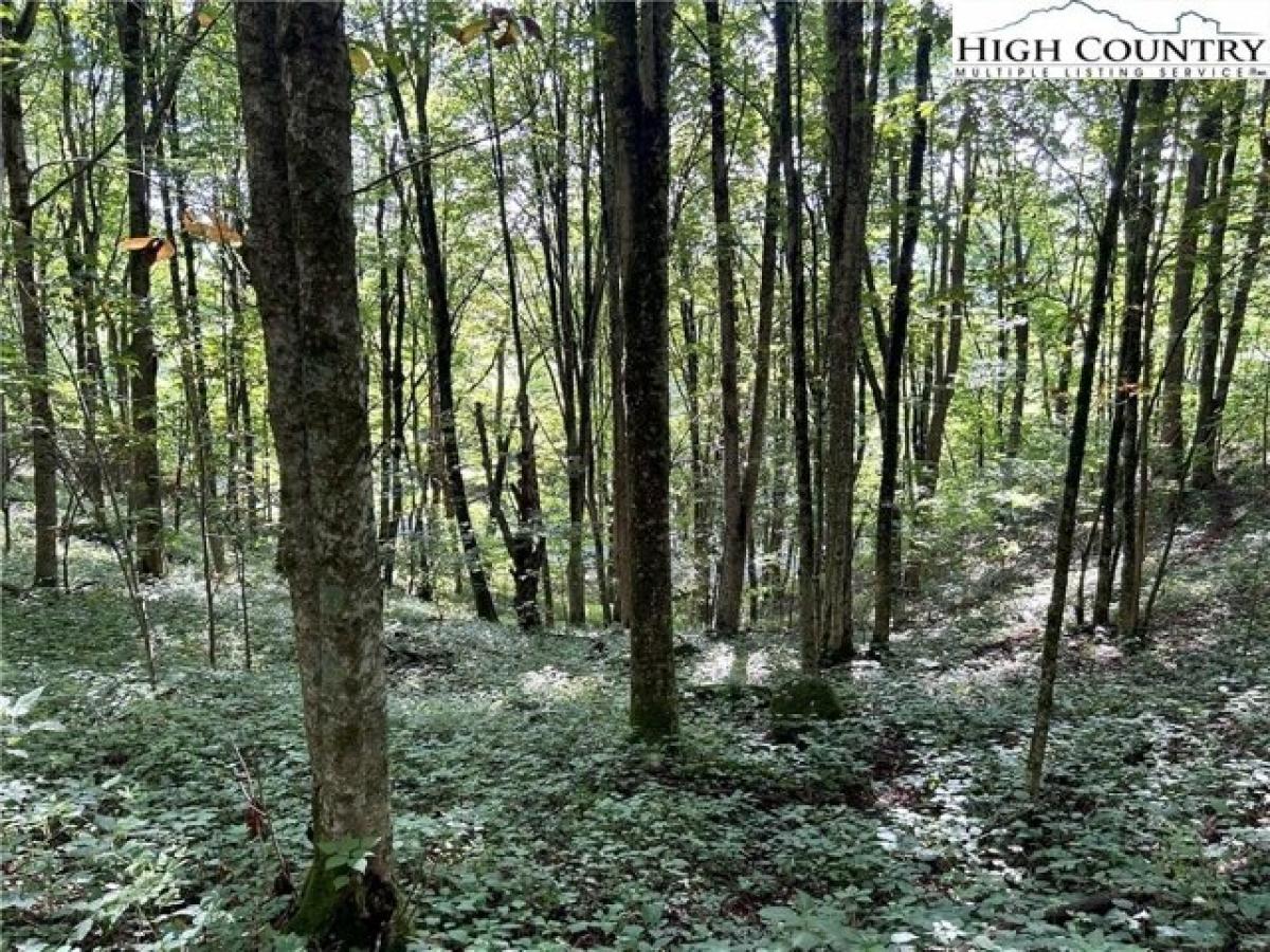 Picture of Residential Land For Sale in Newland, North Carolina, United States