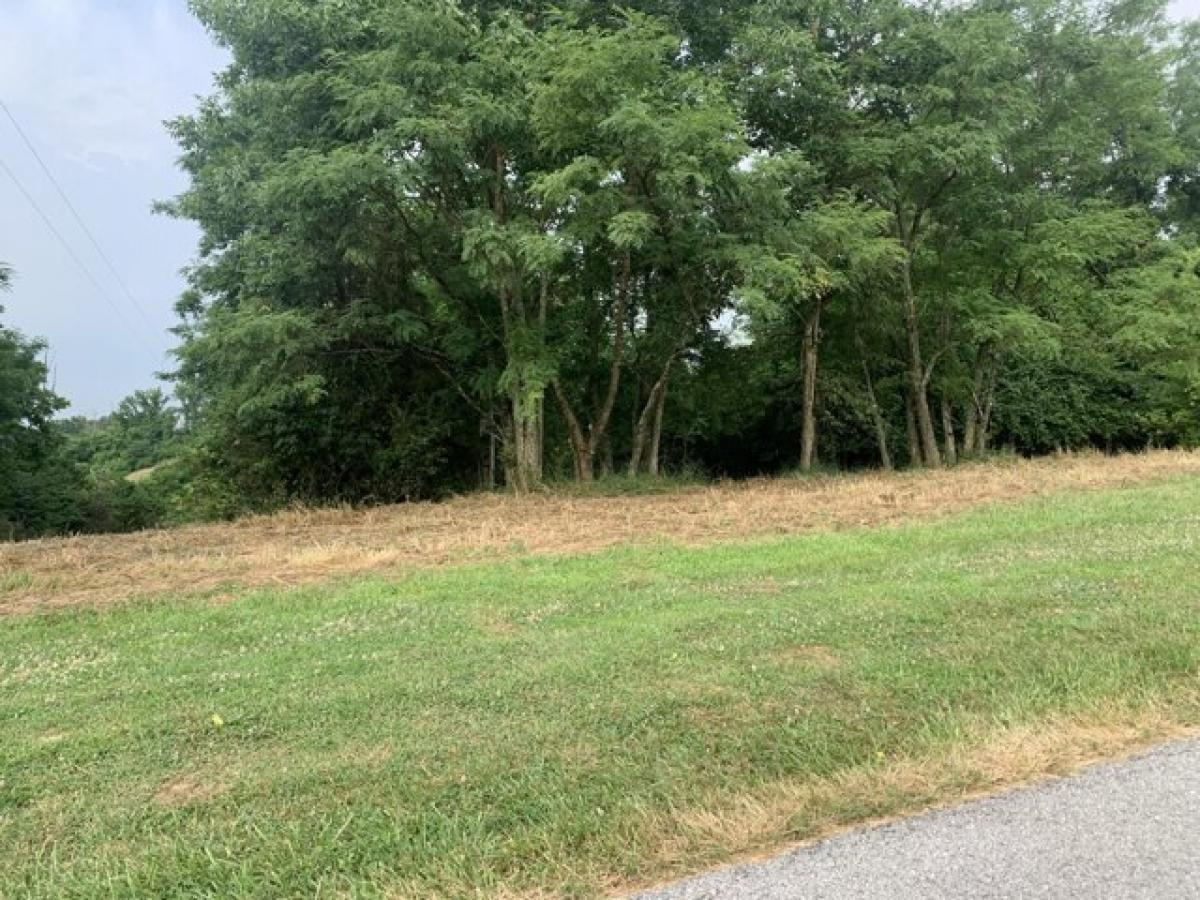 Picture of Residential Land For Sale in Falmouth, Kentucky, United States