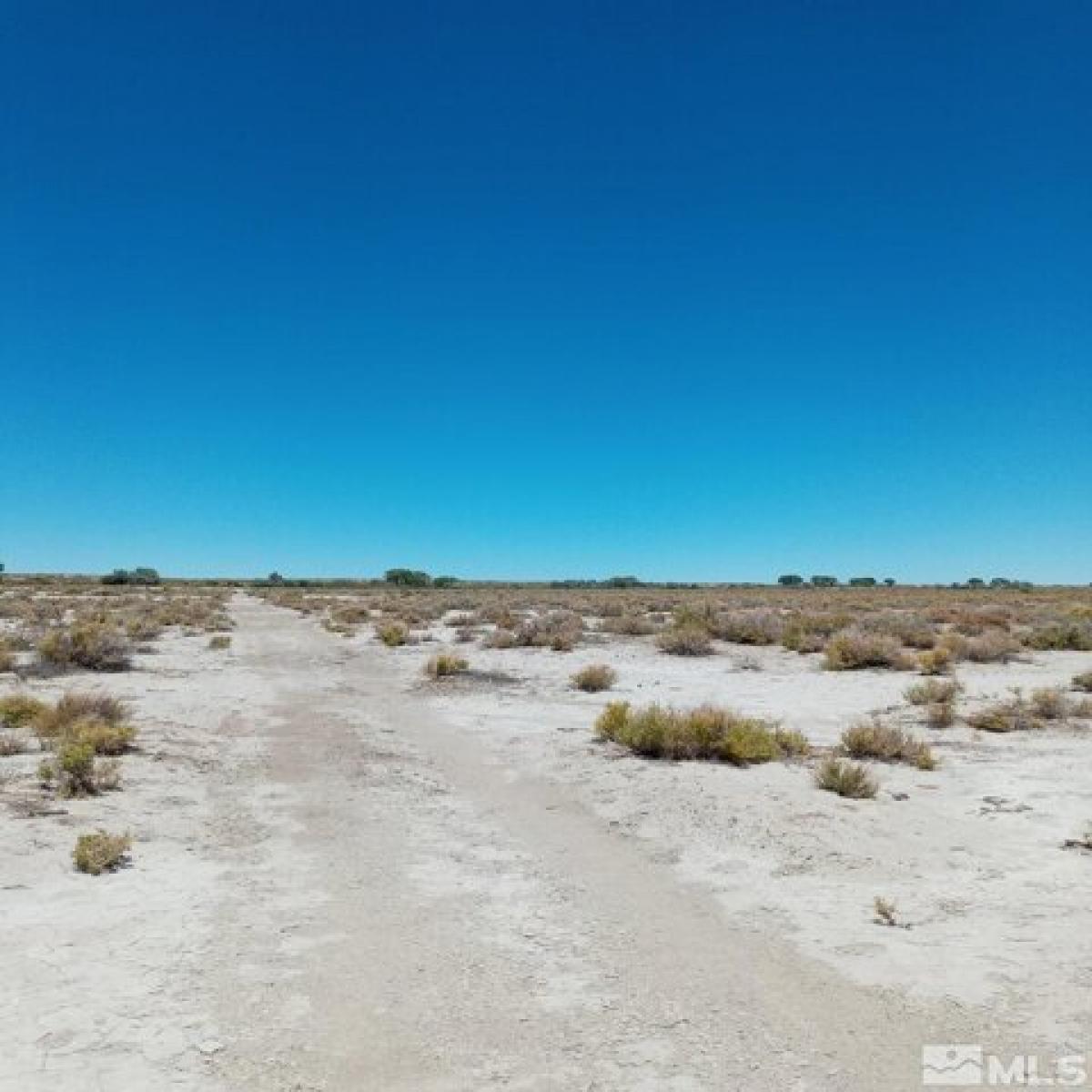 Picture of Residential Land For Sale in Fallon, Nevada, United States