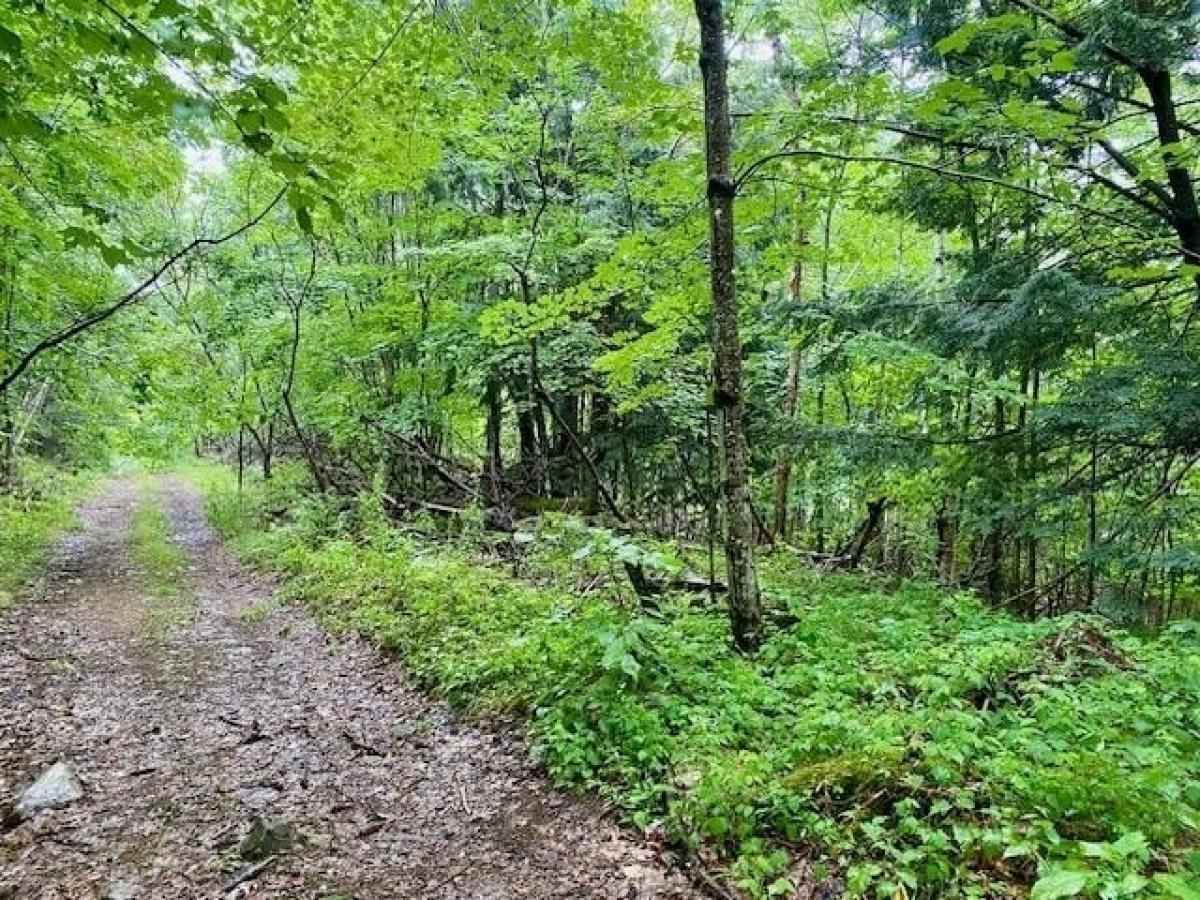 Picture of Residential Land For Sale in Parsonsfield, Maine, United States