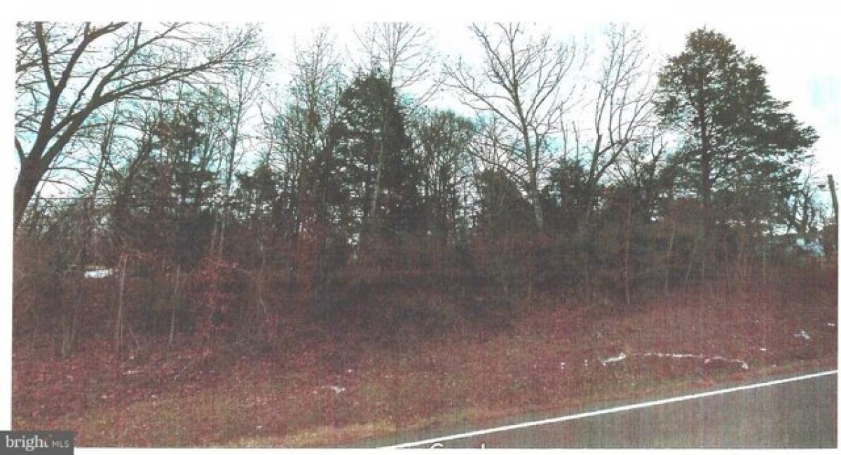 Picture of Residential Land For Sale in Culpeper, Virginia, United States