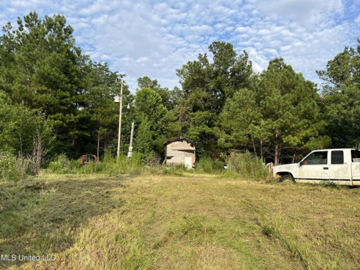 Picture of Residential Land For Sale in Coldwater, Mississippi, United States