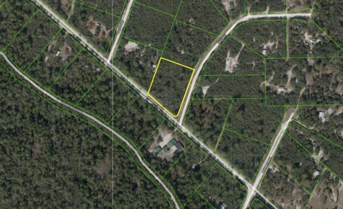 Picture of Residential Land For Sale in Perry, Florida, United States