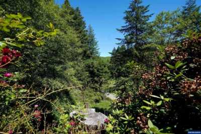 Home For Sale in North Bend, Oregon