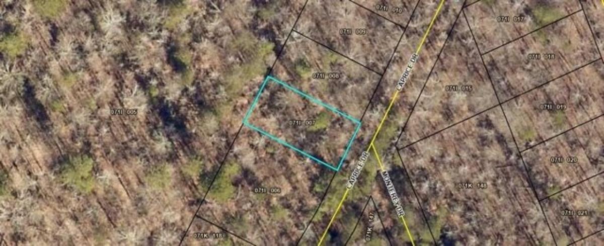 Picture of Residential Land For Rent in Martin, Georgia, United States