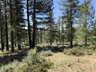 Residential Land For Sale in Portola, California