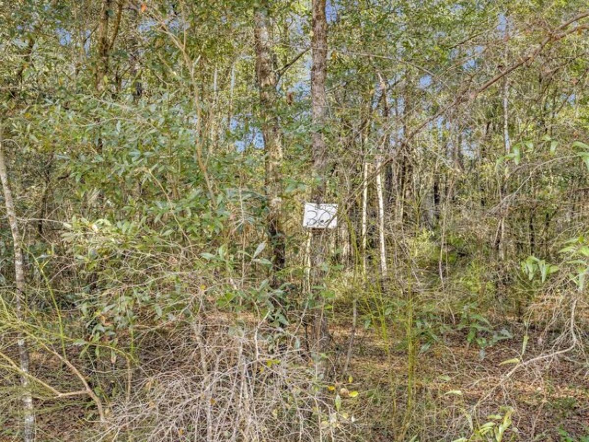 Picture of Residential Land For Sale in Ponce de Leon, Florida, United States