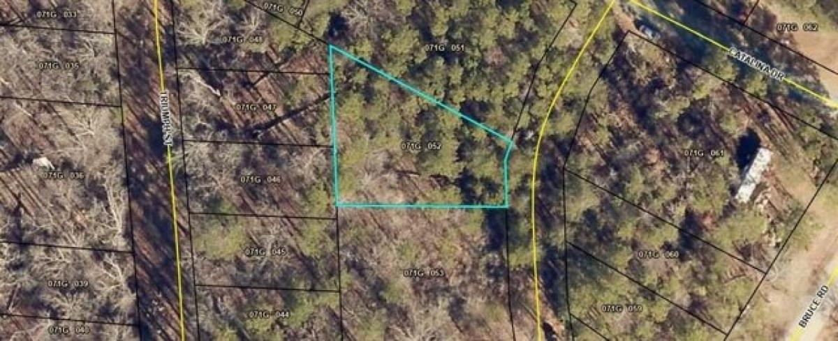 Picture of Residential Land For Rent in Martin, Georgia, United States