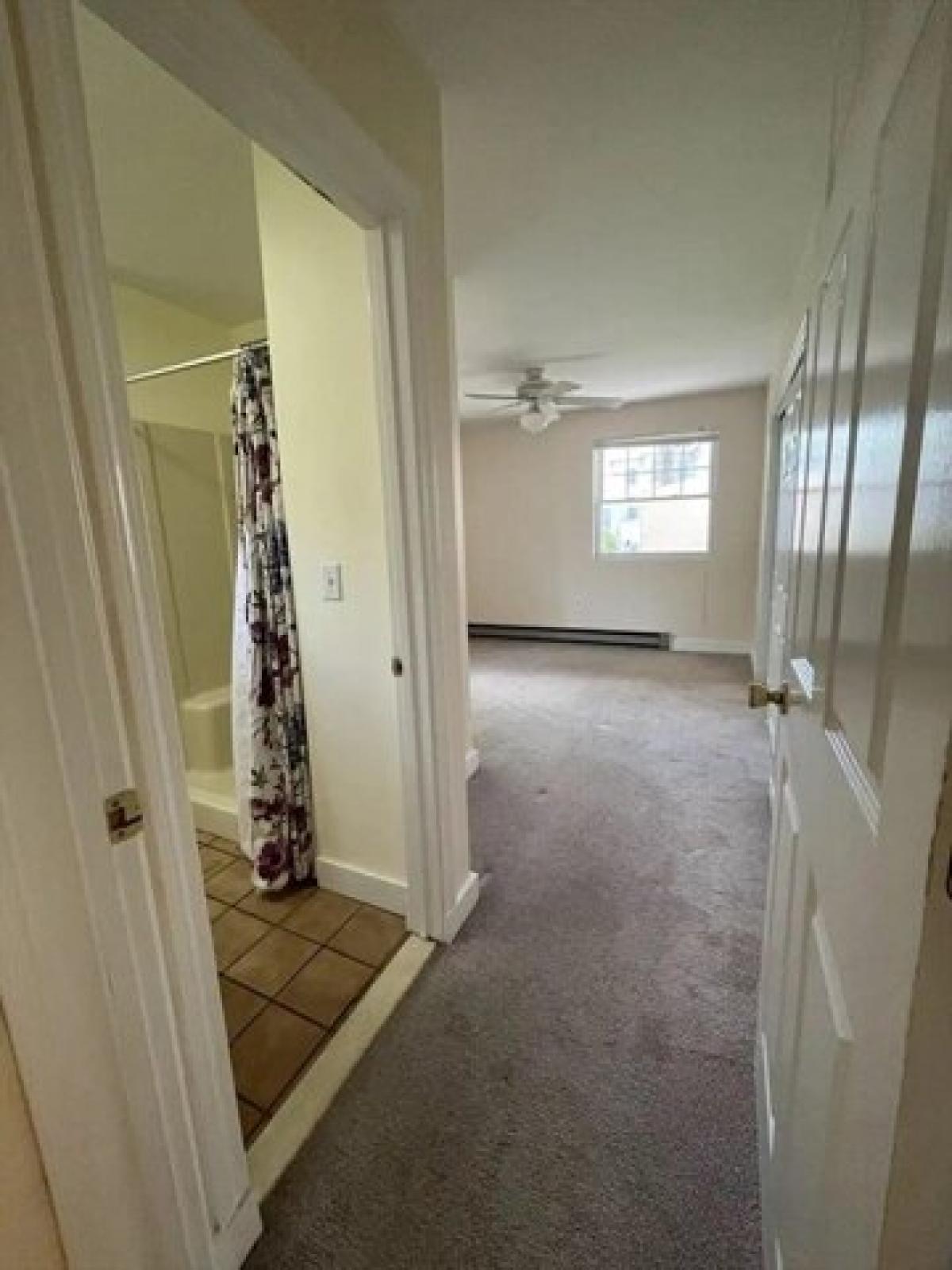 Picture of Apartment For Rent in Newton, Massachusetts, United States