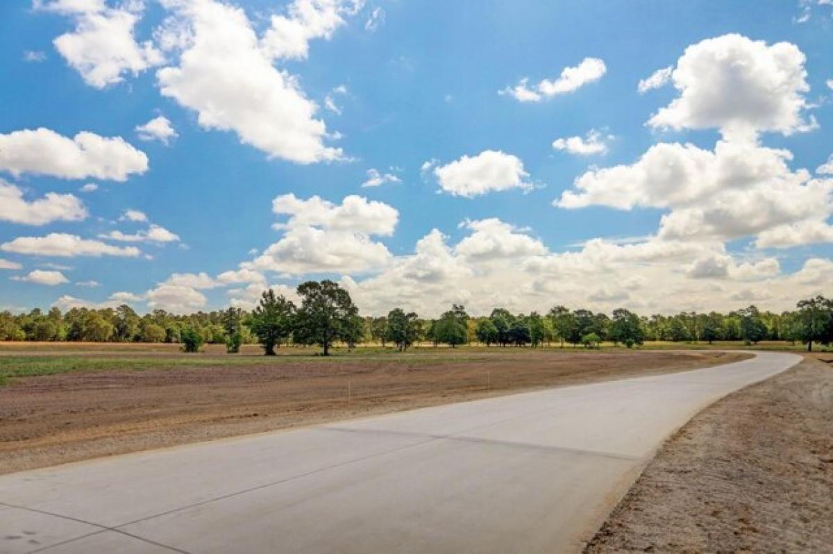 Picture of Residential Land For Sale in Hockley, Texas, United States