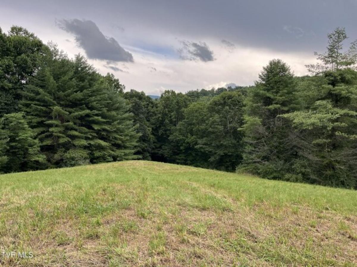 Picture of Residential Land For Sale in Mountain City, Tennessee, United States