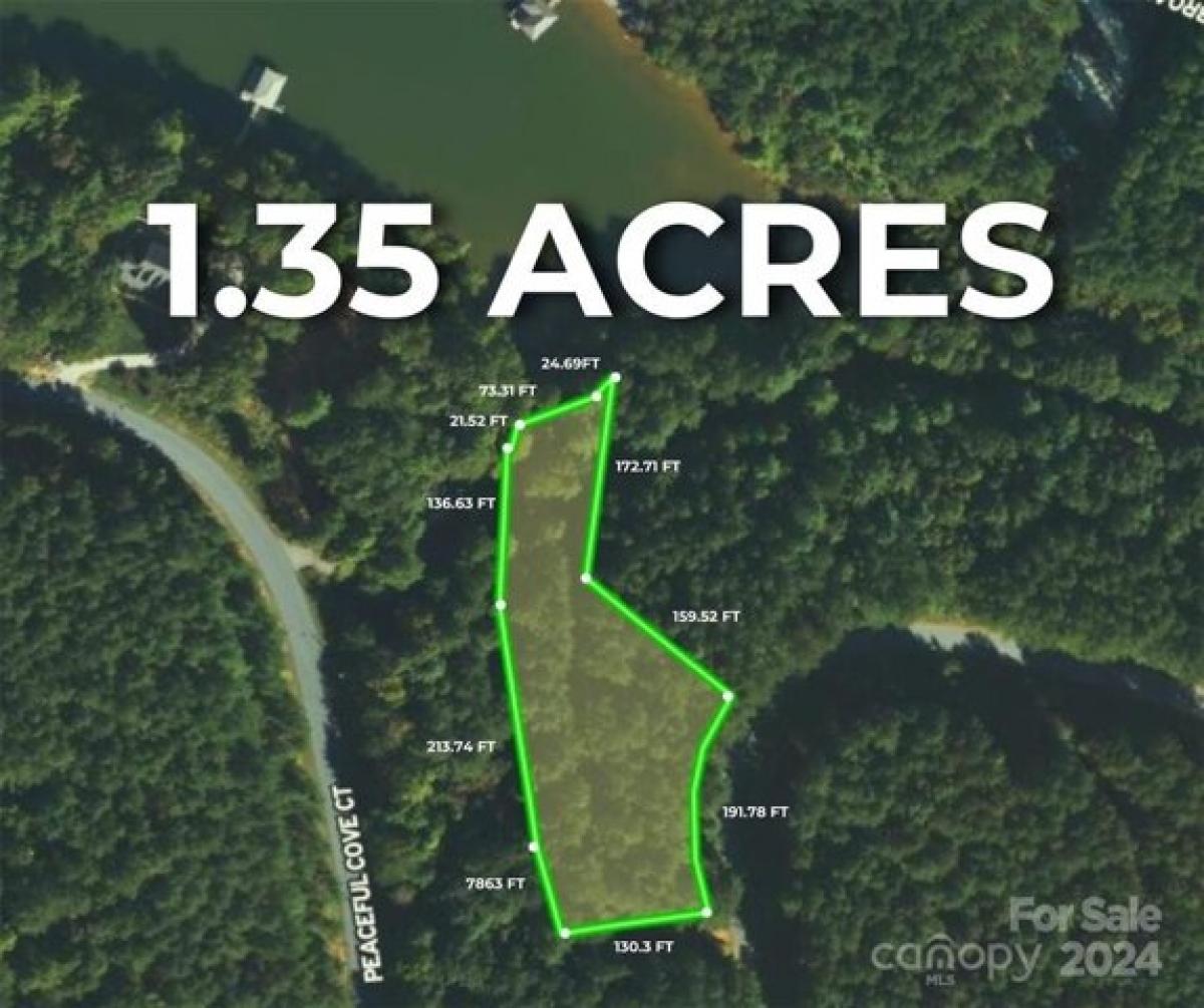 Picture of Residential Land For Sale in Granite Falls, North Carolina, United States