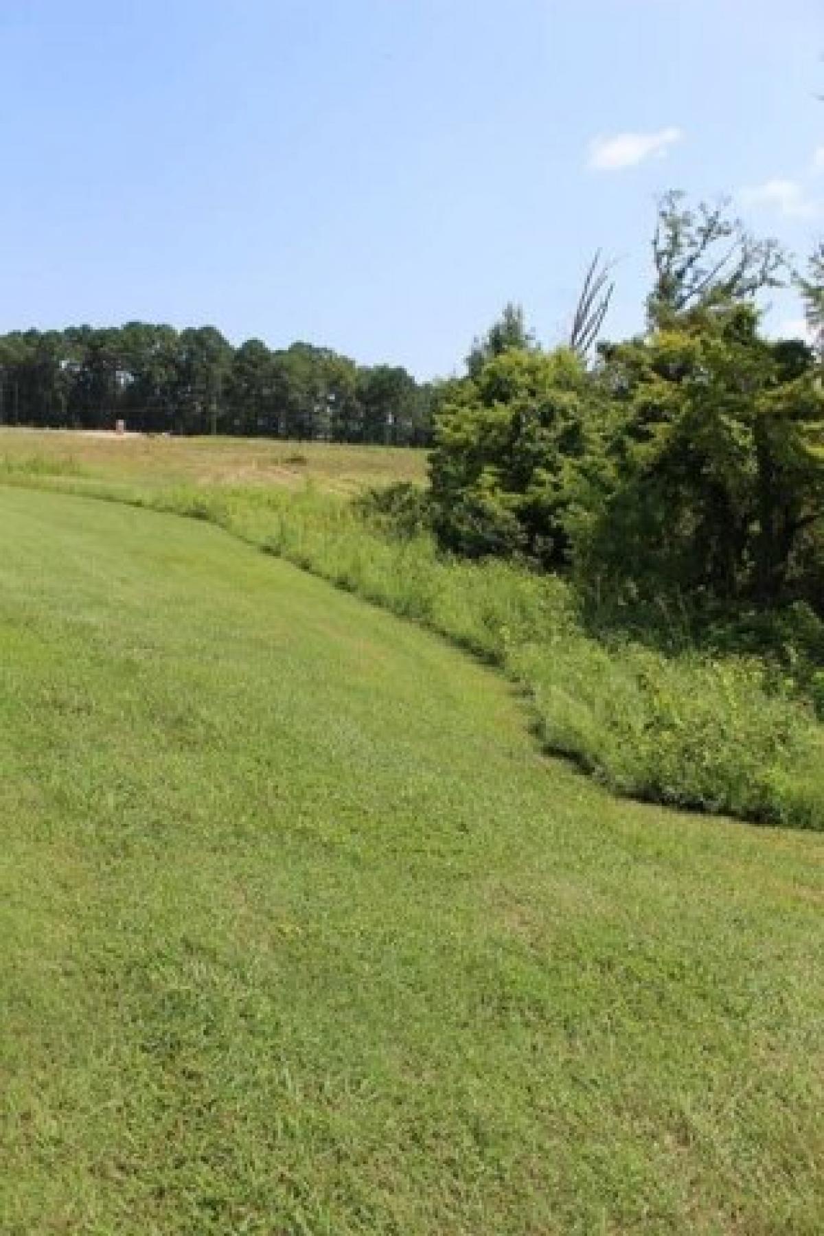 Picture of Residential Land For Sale in Zwolle, Louisiana, United States