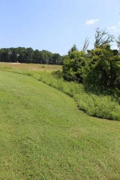 Residential Land For Sale in 