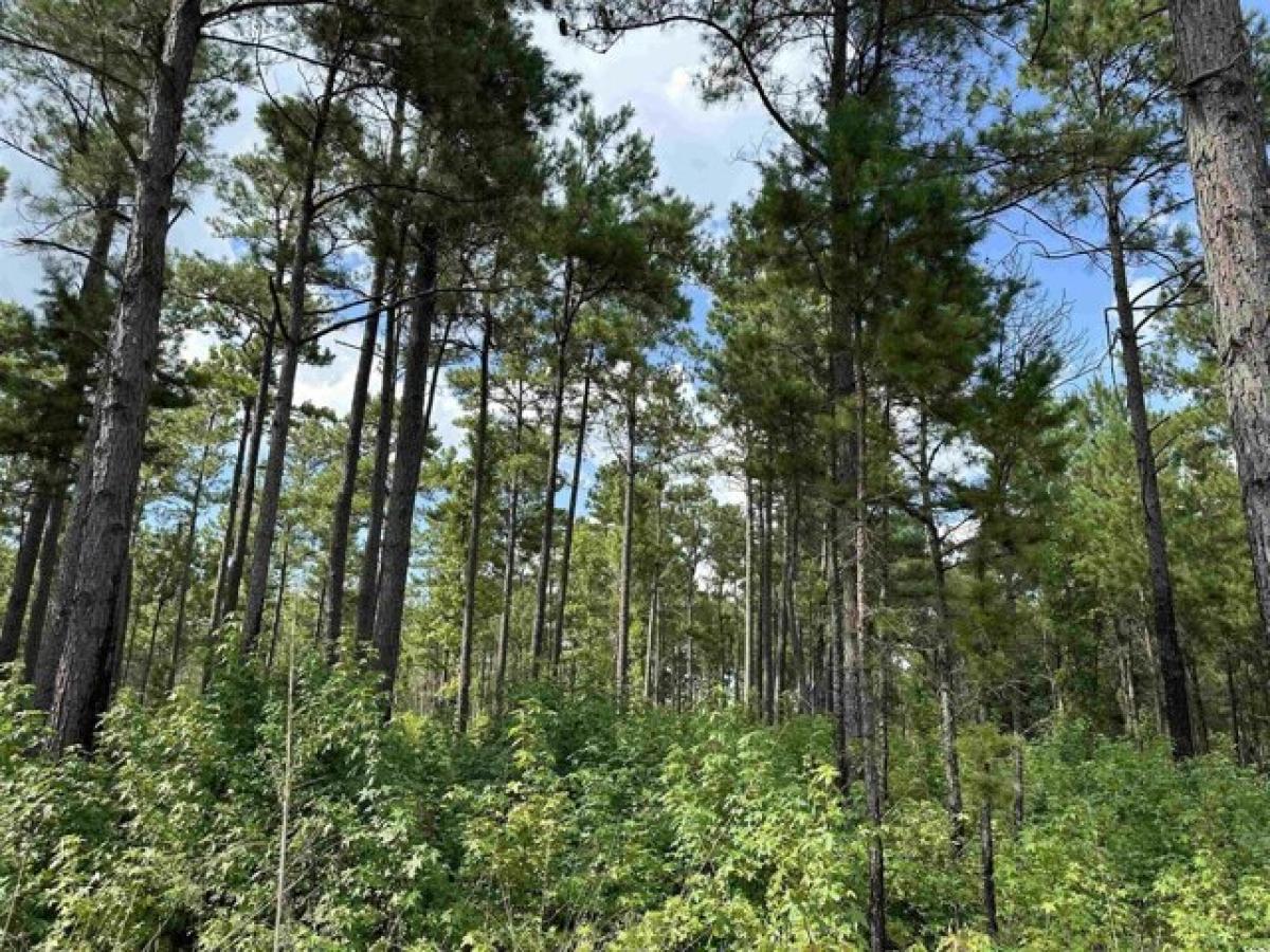 Picture of Residential Land For Sale in Salters, South Carolina, United States