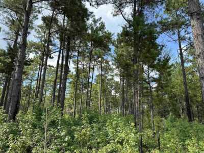 Residential Land For Sale in Salters, South Carolina