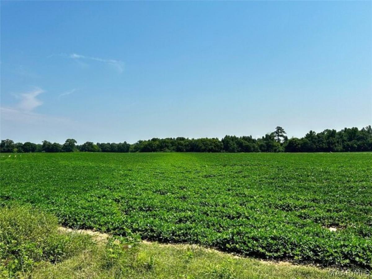 Picture of Residential Land For Sale in Headland, Alabama, United States