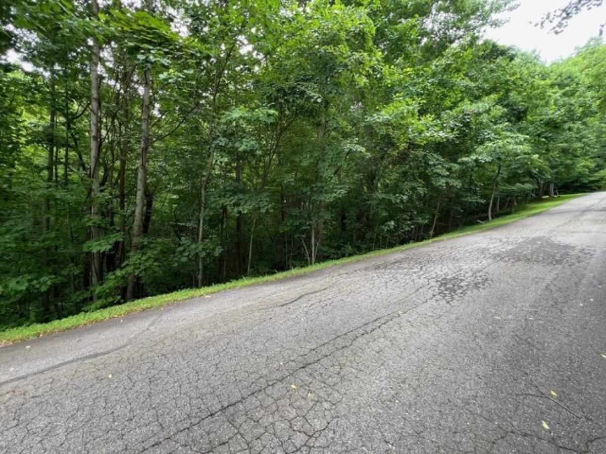 Picture of Residential Land For Sale in Young Harris, Georgia, United States