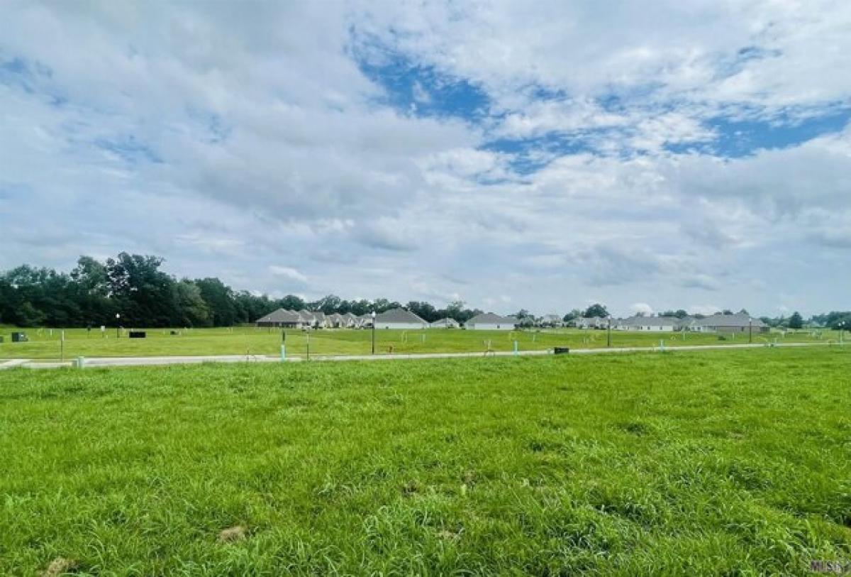 Picture of Residential Land For Sale in Plaquemine, Louisiana, United States