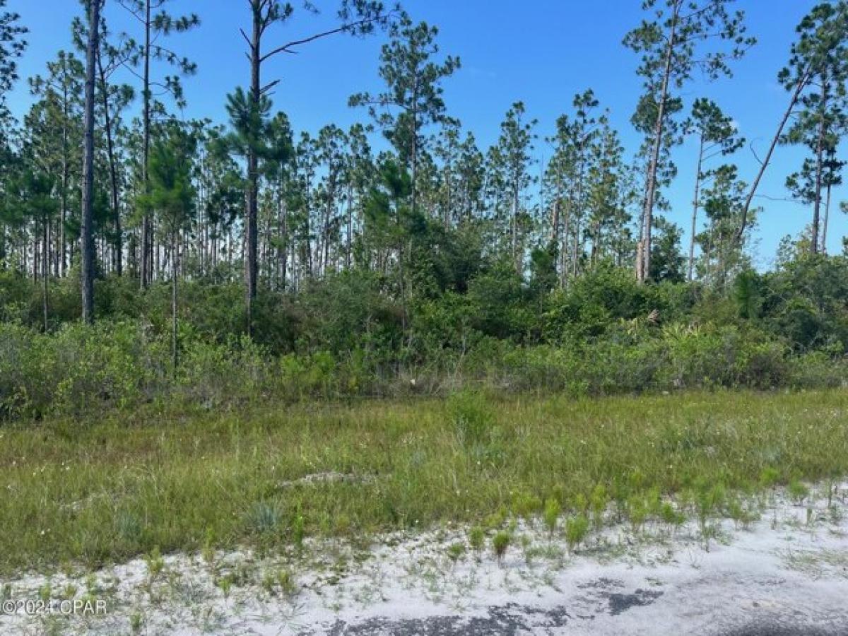 Picture of Residential Land For Sale in Wewahitchka, Florida, United States