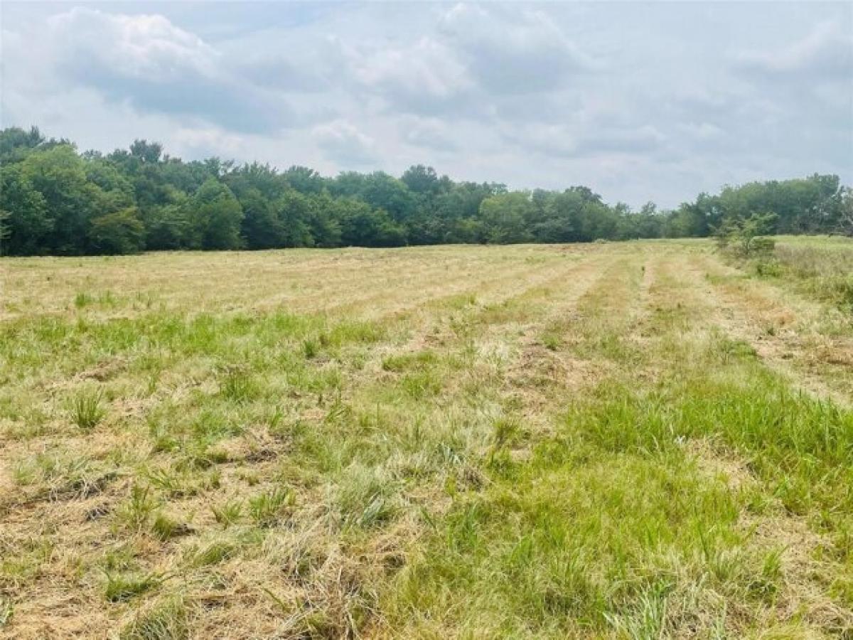 Picture of Residential Land For Sale in Sulphur Springs, Texas, United States