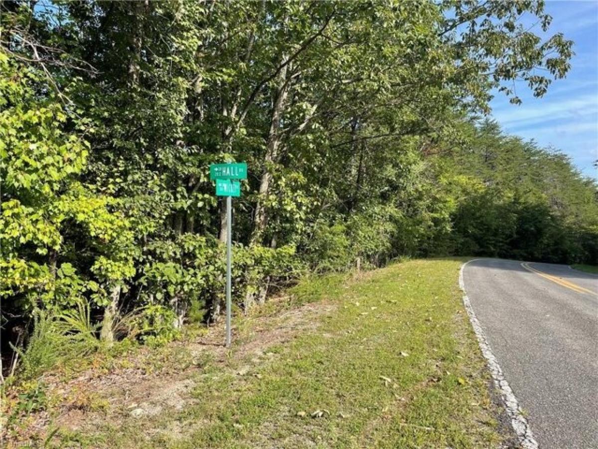 Picture of Residential Land For Sale in Westfield, North Carolina, United States