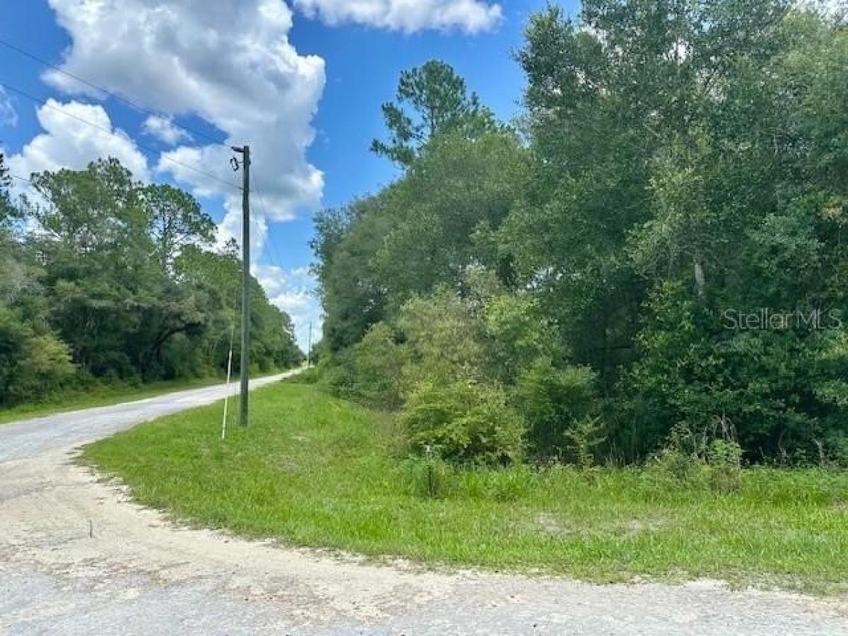 Picture of Residential Land For Sale in Webster, Florida, United States