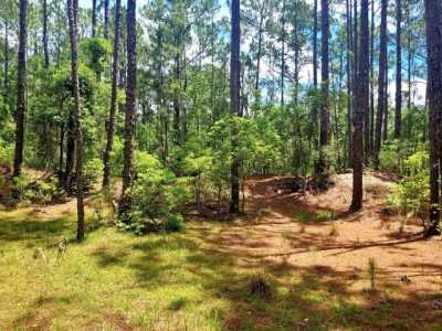 Residential Land For Sale in Eustis, Florida