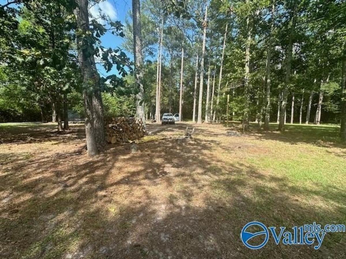 Picture of Residential Land For Sale in Cedar Bluff, Alabama, United States