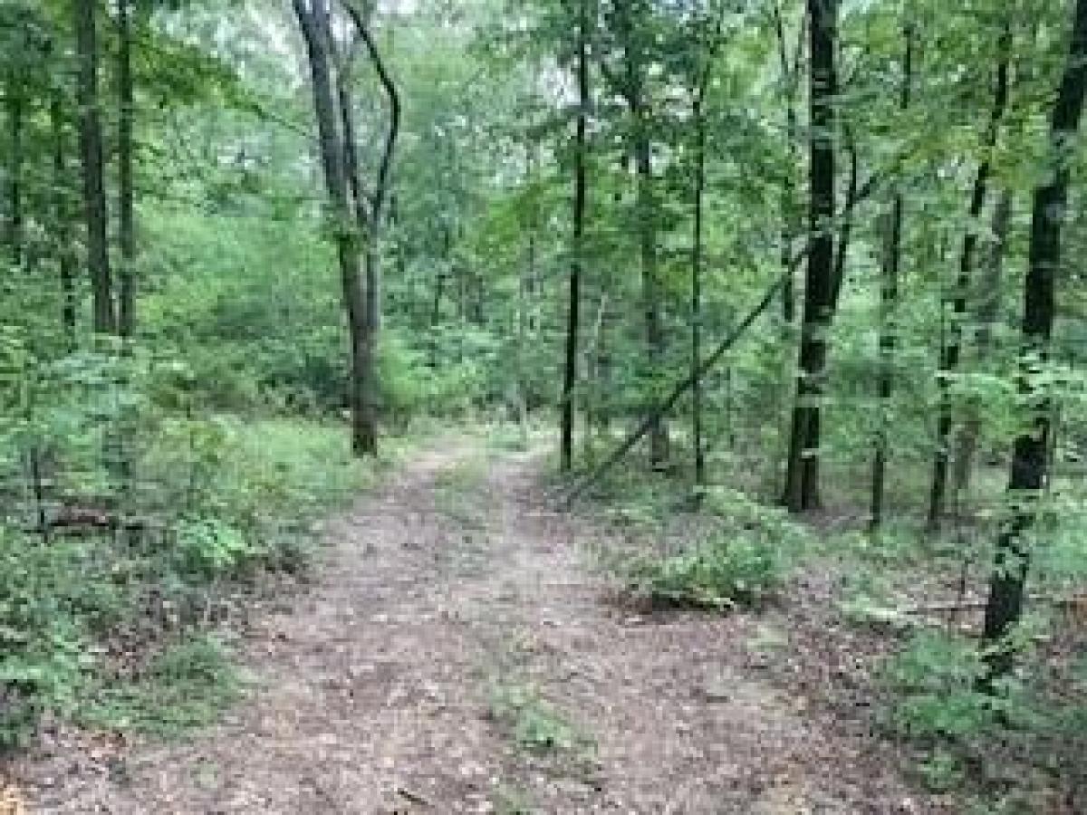 Picture of Residential Land For Sale in Fayetteville, Arkansas, United States