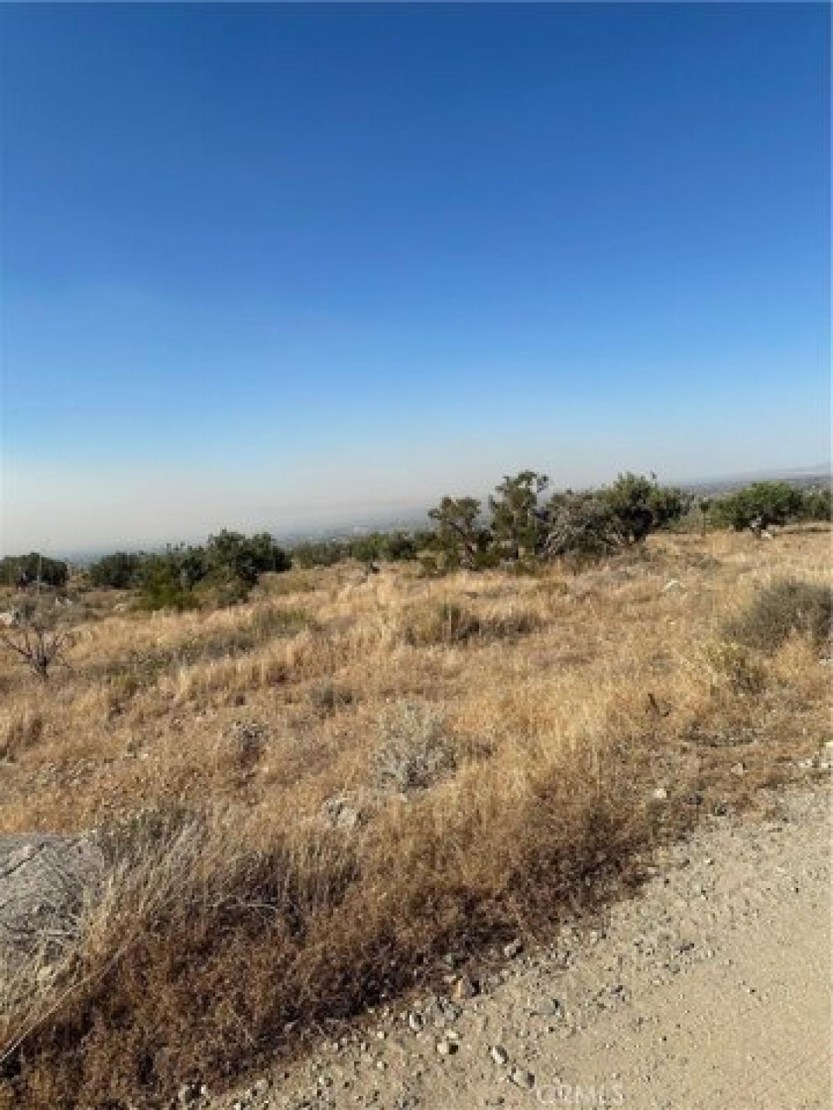 Picture of Residential Land For Sale in Llano, California, United States