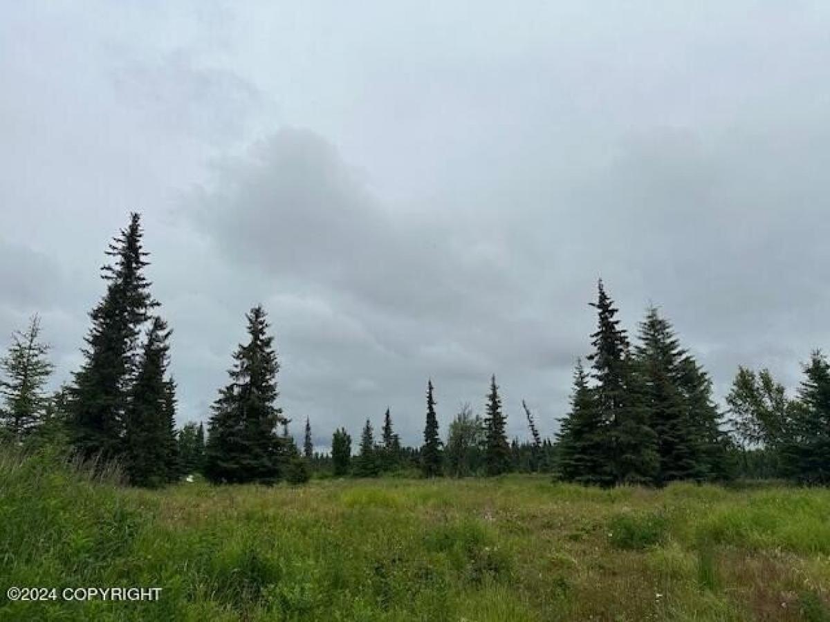 Picture of Residential Land For Sale in Anchor Point, Alaska, United States