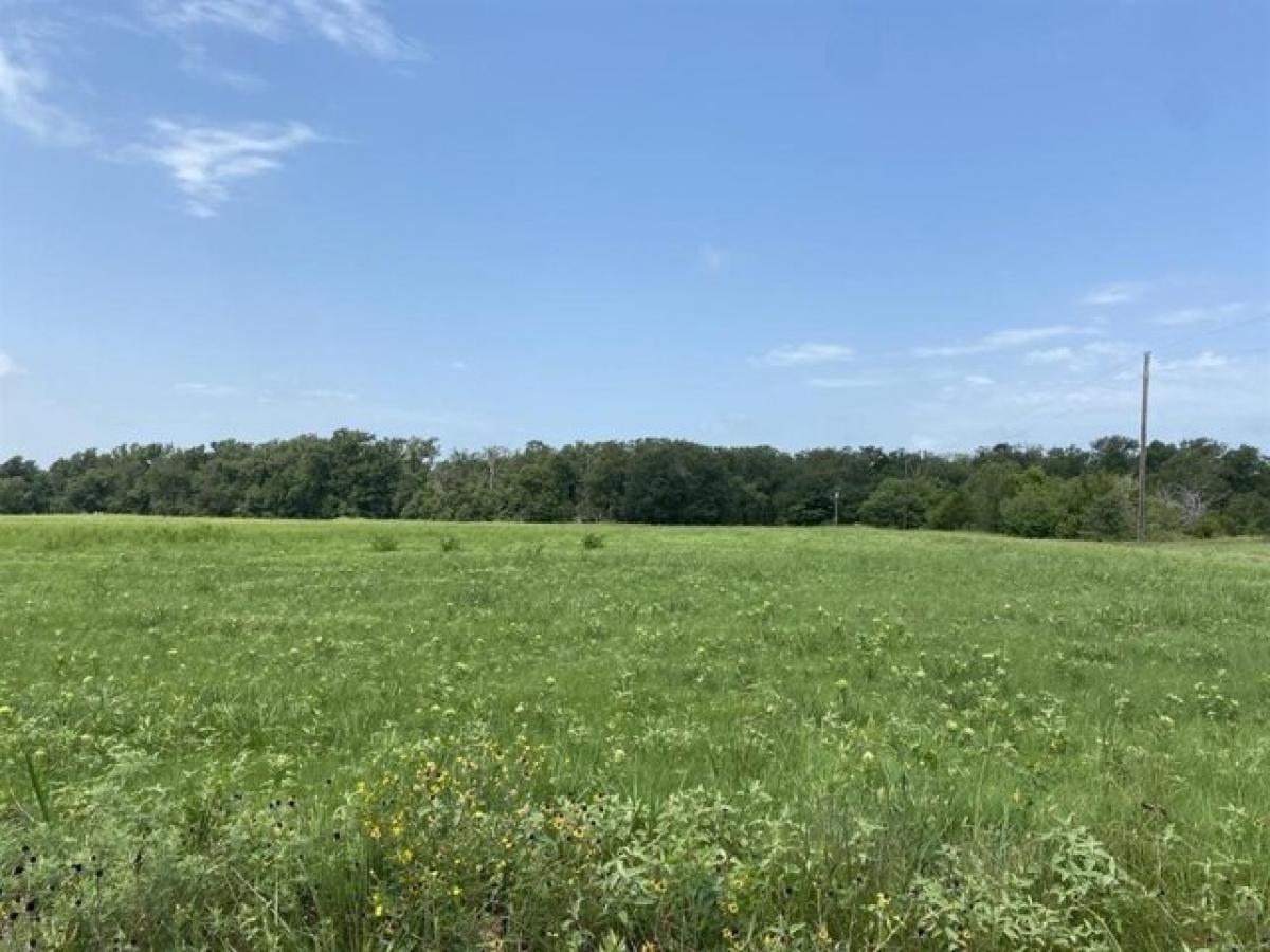 Picture of Residential Land For Sale in Dike, Texas, United States