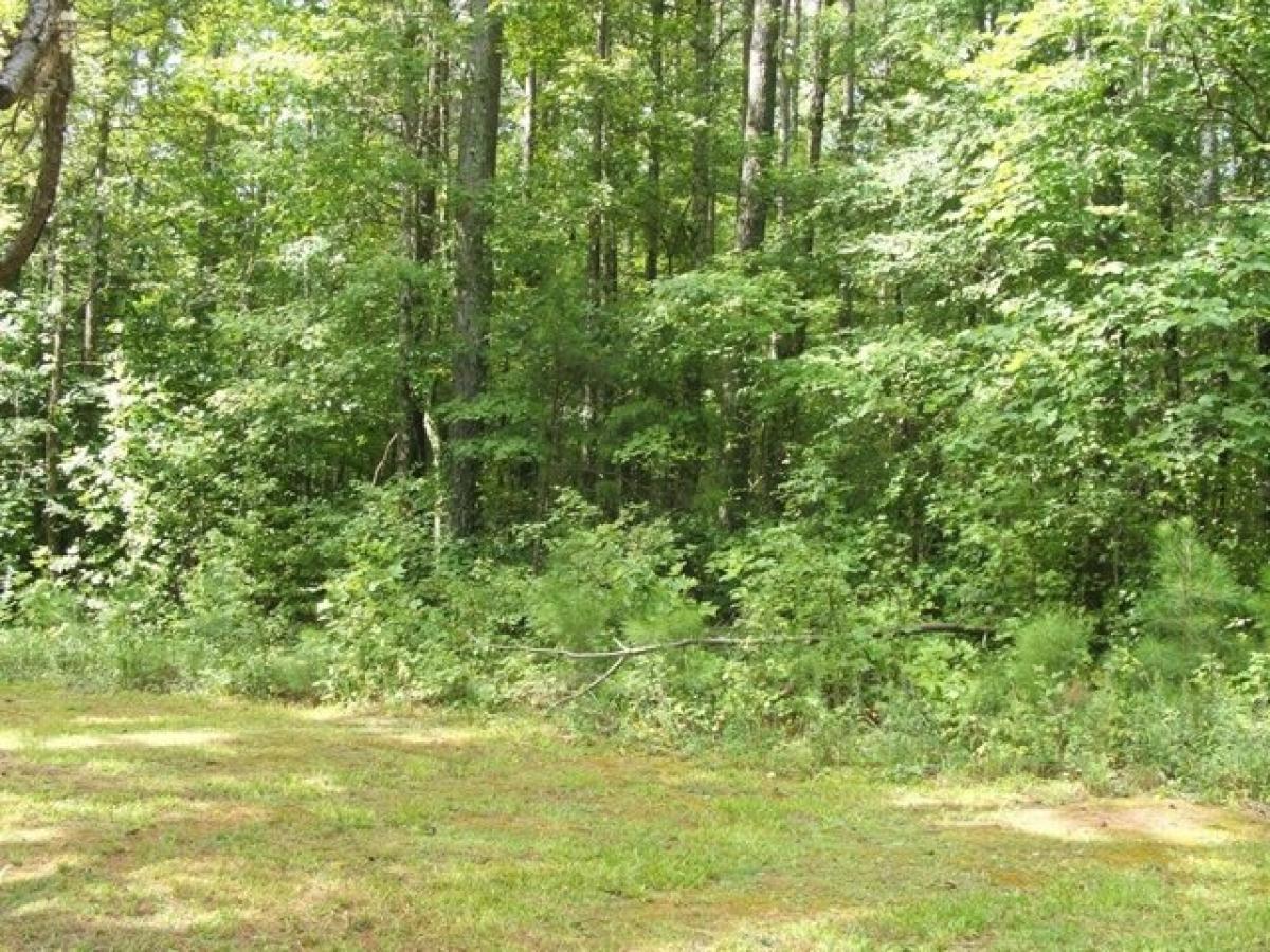 Picture of Residential Land For Sale in Keysville, Virginia, United States