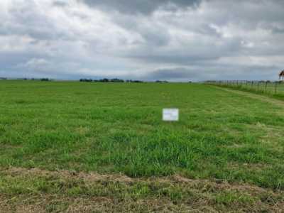 Residential Land For Sale in Grandview, Texas