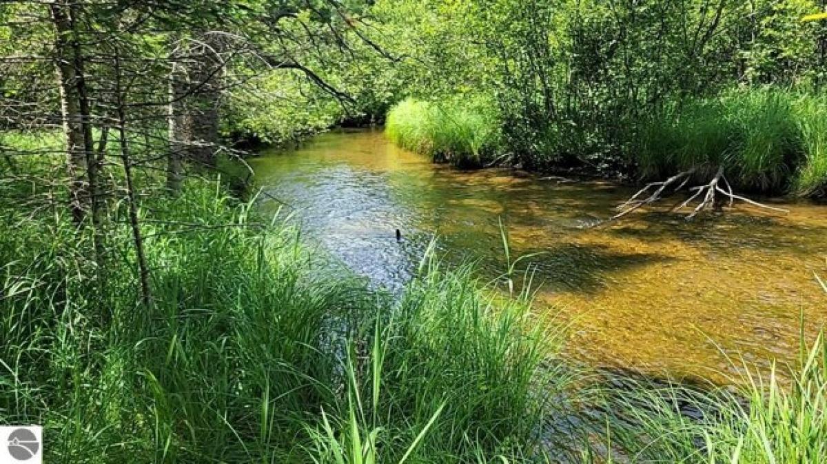 Picture of Residential Land For Sale in Grayling, Michigan, United States